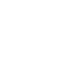 Videotarkastus esimerkki